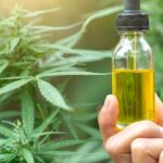 How THC Oil is Changing the Landscape in India